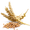 Image to render