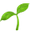 Image to render