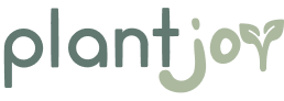 Image to render